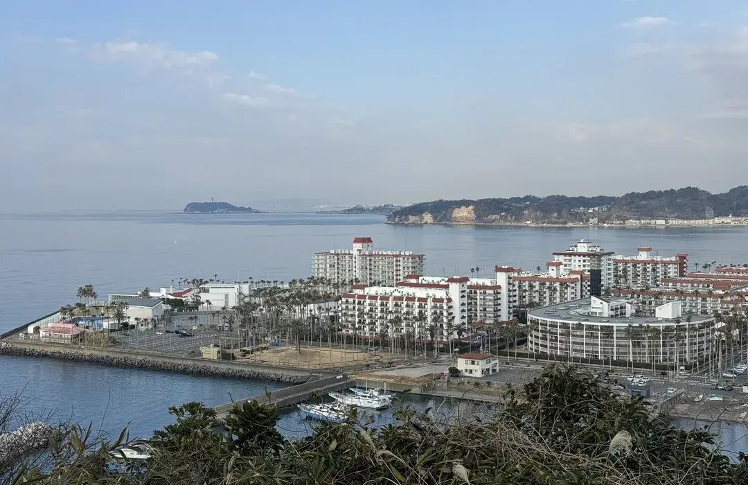 🏞️ 오사키 공원 (오사키 코엔) 이미지 5